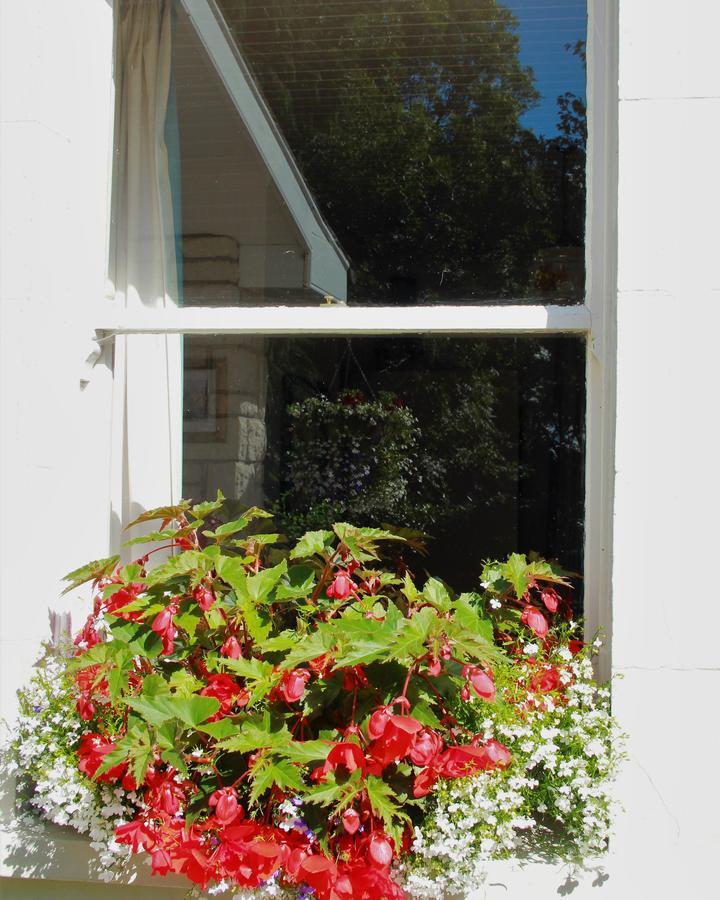Grey Gables Farmhouse B&B Innishannon Kültér fotó